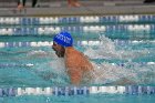 Swimming & Diving vs Babson  Swimming & Diving vs Babson College. - Photo by Keith Nordstrom : Wheaton, Swimming